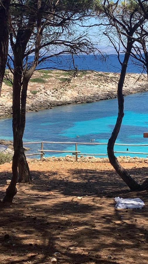 Appartamento Tulipano Rosso Trapani Kültér fotó